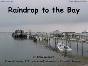 Raindrop to the Bay By Kathy Woodard Lessons from the Bay