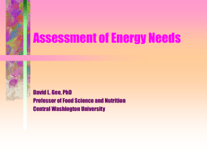 Assessment of Energy Needs David L. Gee, PhD Central Washington University