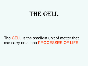 The Cell The is the smallest unit of matter that