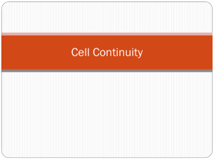 Cell Continuity