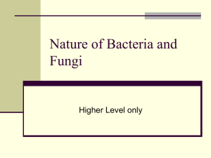 Nature of Bacteria and Fungi Higher Level only