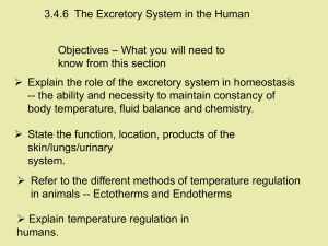 3.4.6  The Excretory System in the Human Objectives