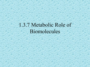 1.3.7 Metabolic Role of Biomolecules
