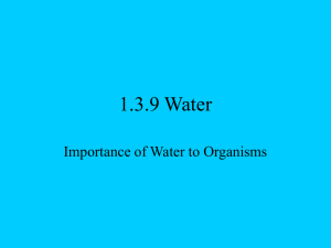 1.3.9 Water Importance of Water to Organisms