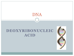 DNA DEOXYRIBONUCLEIC ACID