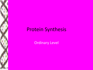 Protein Synthesis Ordinary Level