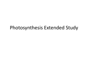 Photosynthesis Extended Study