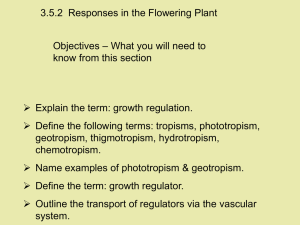 3.5.2  Responses in the Flowering Plant Objectives know from this section