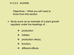 H 3.5.5   AUXINS – What you will need to Objectives
