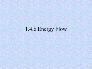 1.4.6 Energy Flow