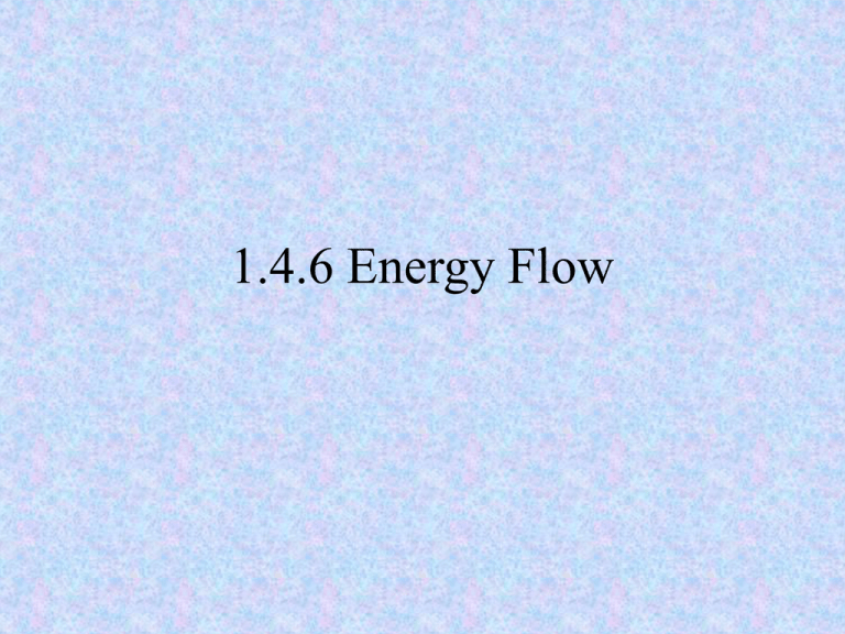 1 4 6 Energy Flow
