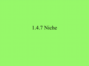 1.4.7 Niche