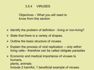 3.5.4     VIRUSES Objectives know from this section