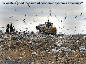 Is waste a good measure of economic system’s efficiency?