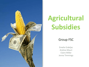 Agricultural Subsidies Group FSC Emelie Erdeljac