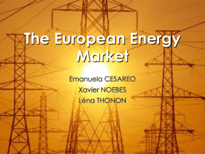 The European Energy Market Emanuela CESAREO Xavier NOEBES