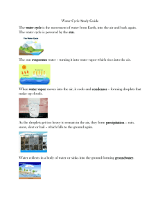 Water Cycle Study Guide