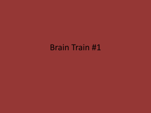 Brain Train #1