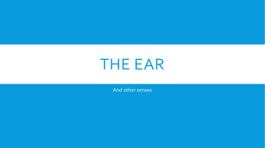 THE EAR And other senses