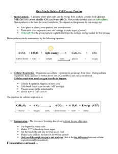 Quiz Study Guide - Cell Energy Process