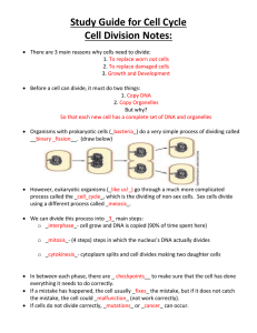 Study Guide for Cell Cycle Cell Division Notes:
