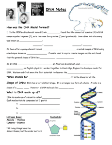 DNA Notes  How was the DNA Model Formed?