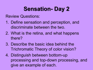 Sensation- Day 2