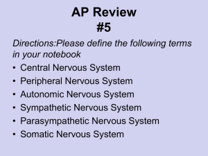 AP Review #5