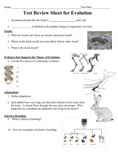 Test Review Sheet for Evolution