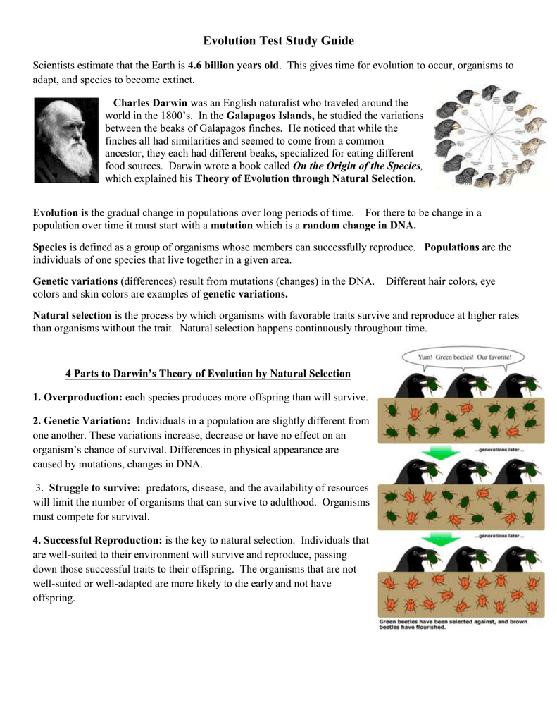 Evolution Test Study Guide