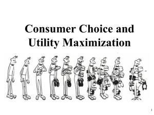 Consumer Choice and Utility Maximization 1