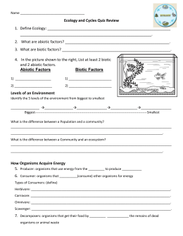 Vocabulary Worksheet