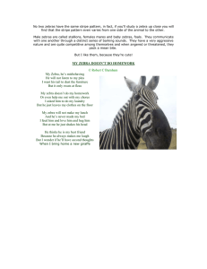 No two zebras have the same stripe pattern, in fact,... find that the stripe pattern even varies from one side...