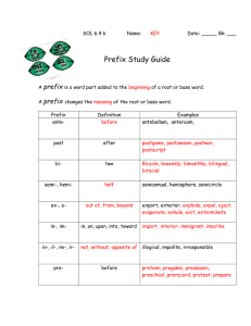 Prefix Study Guide prefix