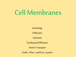 Cell Membranes Including: Diffusion Osmosis
