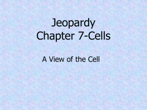 Jeopardy Chapter 7-Cells A View of the Cell