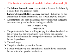The basic neoclassical model: Labour demand (1)