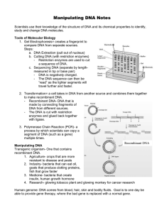 Manipulating DNA Notes