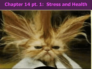 Chapter 14 pt. 1:  Stress and Health
