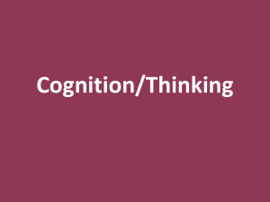 Cognition/Thinking