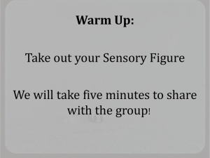 Warm Up: Take out your Sensory Figure with the group