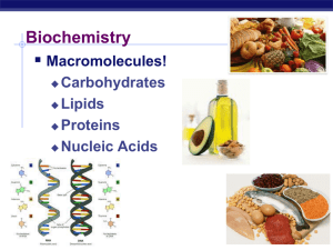  Biochemistry Macromolecules! Carbohydrates