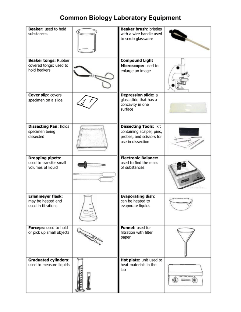 Common Lab Equipment Worksheet