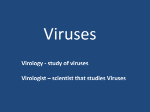 Viruses Virology - study of viruses Virologist – scientist that studies Viruses
