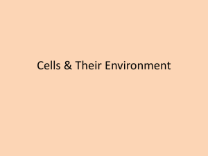 Cells &amp; Their Environment
