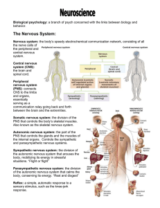 The Nervous System: