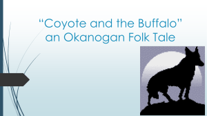 “Coyote and the Buffalo” an Okanogan Folk Tale
