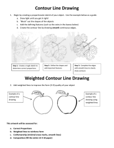 Contour Line Drawing