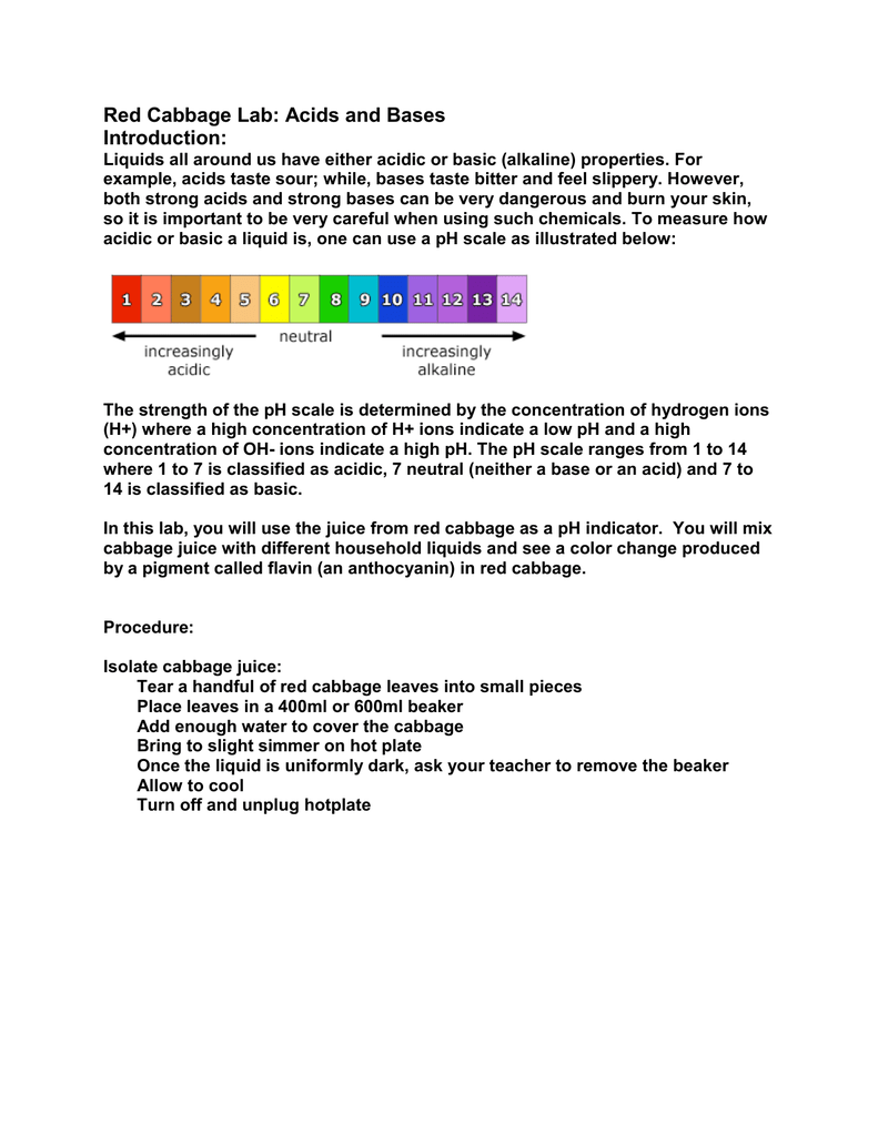 red-cabbage-lab-acids-and-bases-introduction