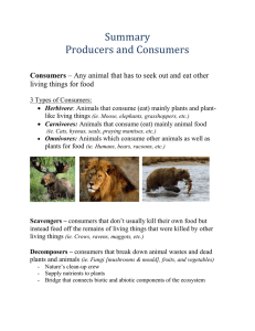 Summary Producers and Consumers Consumers living things for food